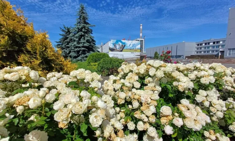 Чорнобильська АЕС влітку: як виглядає зона відчуження
