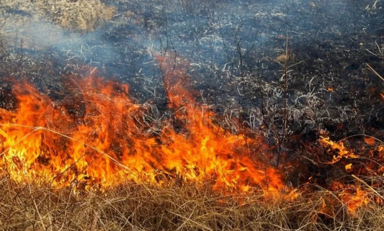 Дніпропетровщина під загрозою пожежної небезпеки