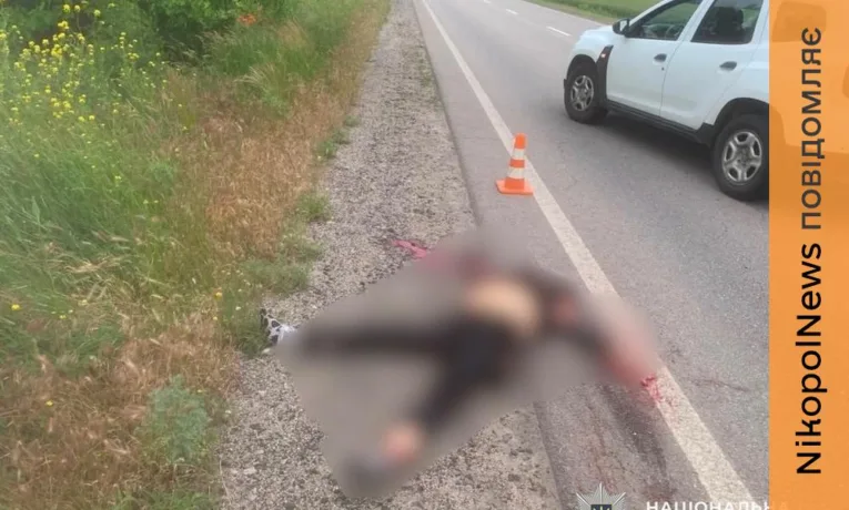 Дрон влучив у авто під час руху по трасі: смертельний обстріл Нікопольщини