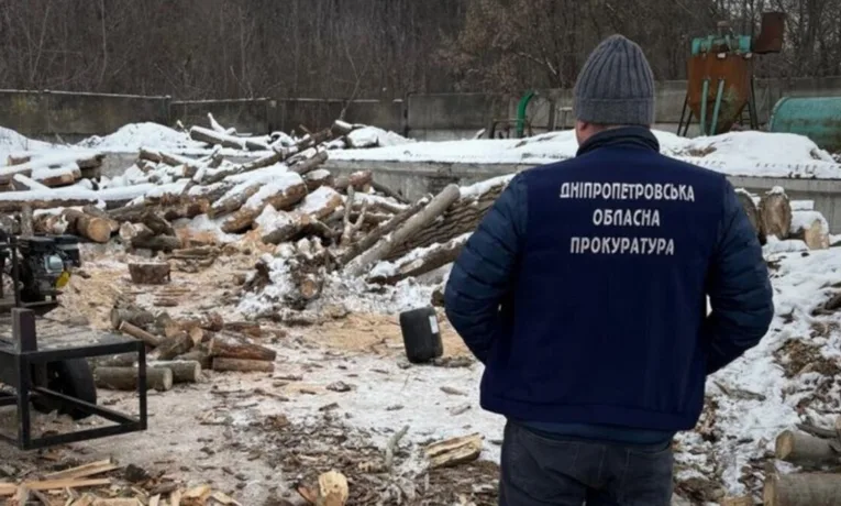 На Дніпропетровщині судять групу «чорних лісорубів»