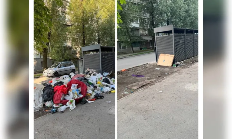 У Дніпрі оперативно прибирають стихійні сміттєзвалища