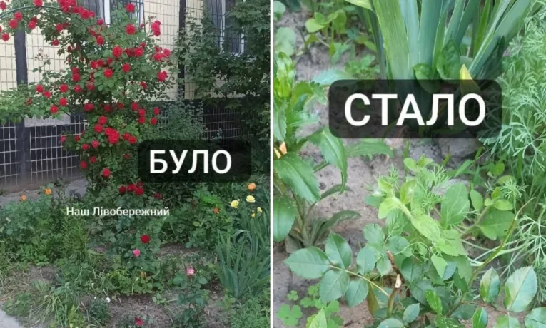 У Дніпрі підлітки знищили квітучу клумбу на Лівобережжі