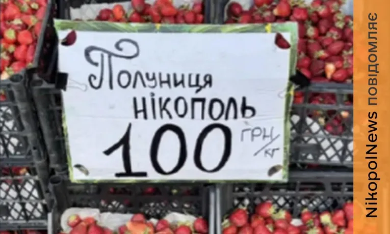 Вирощена під обстрілами: полуниця з Нікополя продається у Дніпрі за 100 гривень