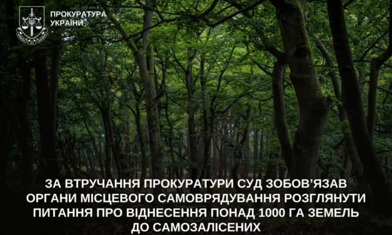 На Дніпропетровщині суд зобов’язав узаконити 1000 га лісу