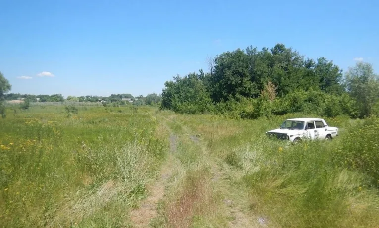 На Дніпропетровщині викрали авто: невдала втеча злодія