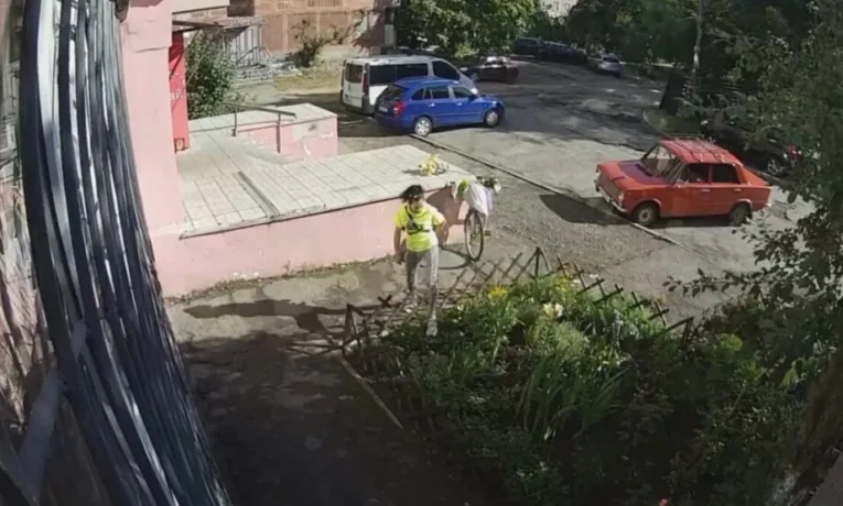 У Дніпрі жінка обікрала клумбу біля під’їзду: відео