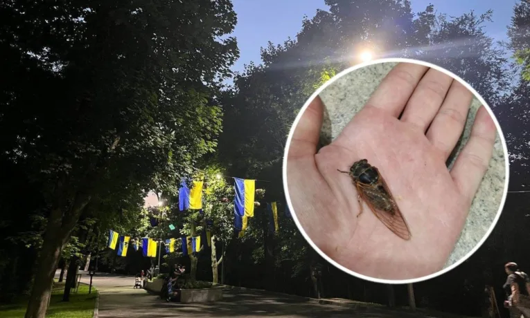 У Дніпрі з’явилися одні з найгучніших комах у світі