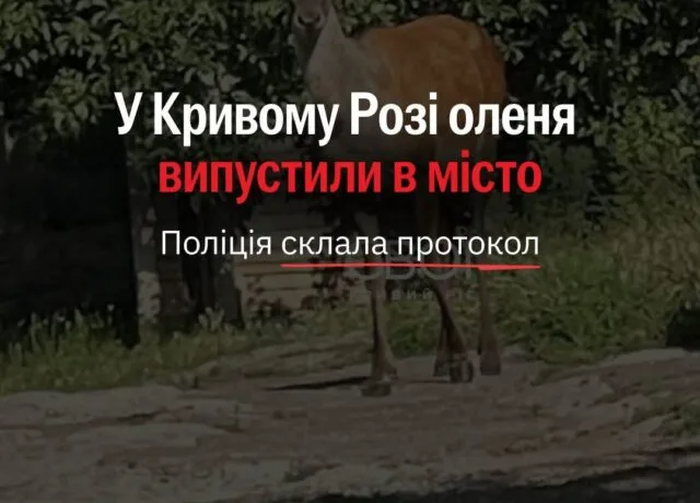 У Кривому Розі покарали власника ферми через оленя