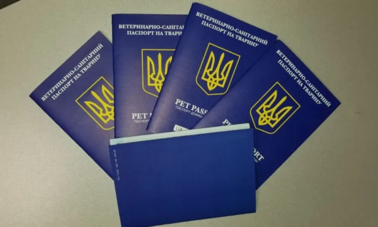 В Україні створять єдиний реєстр домашніх тварин