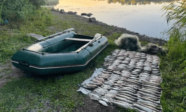 На Дніпрі браконьєр завдав збитків на пів мільйона гривень