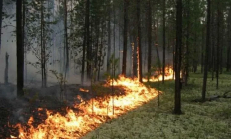 На Дніпропетровщині оголошено надзвичайну пожежну небезпеку