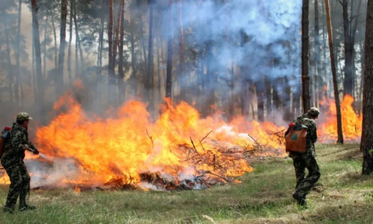 На Дніпропетровщині оголошено високу пожежну небезпеку