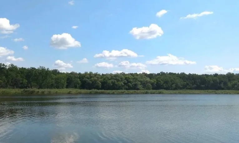 На Дніпропетровщині зник чоловік під час запливу