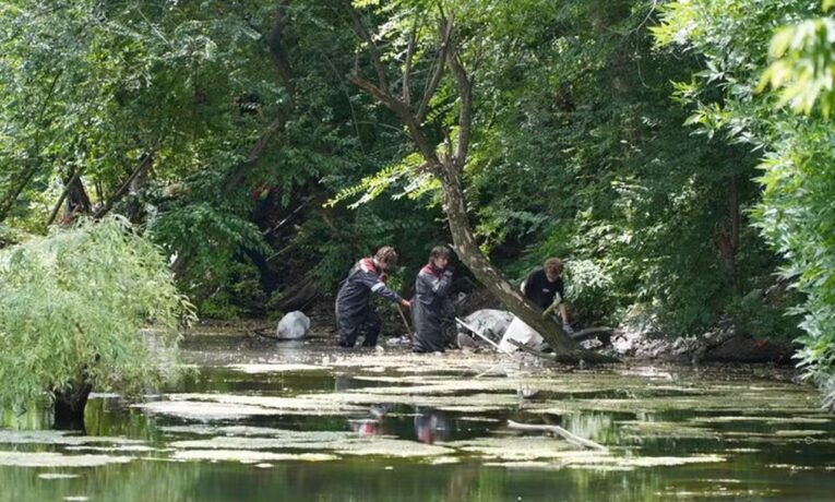 У Дніпрі активісти очистили Черепашине озеро