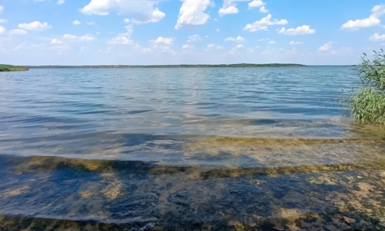 У водоймах Дніпропетровщини виявили холероподібний вібріон