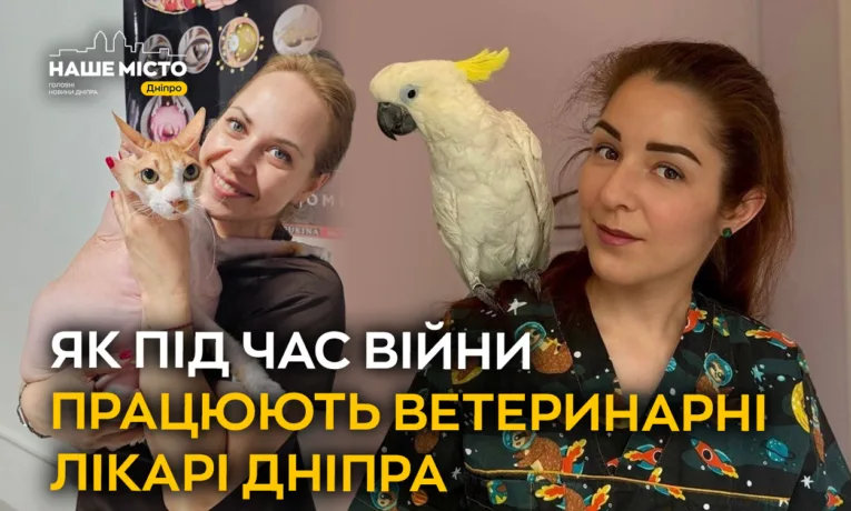 Ветеринари Дніпра: як рятують тварин під час війни