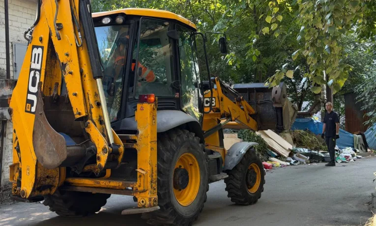 Чому у Дніпрі не можна викидати гілки біля смітників