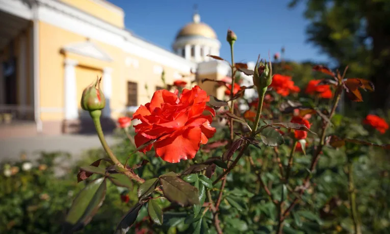 Що не можна робити 10 жовтня: народні прикмети та заборони