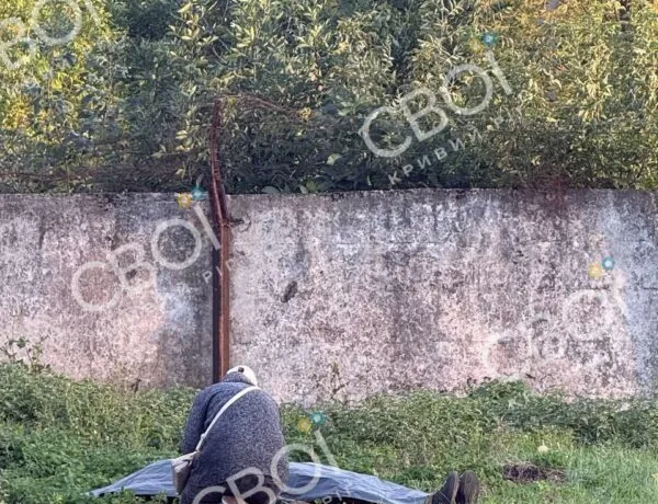 У Кривому Розі під час обрізки дерев загинув чоловік