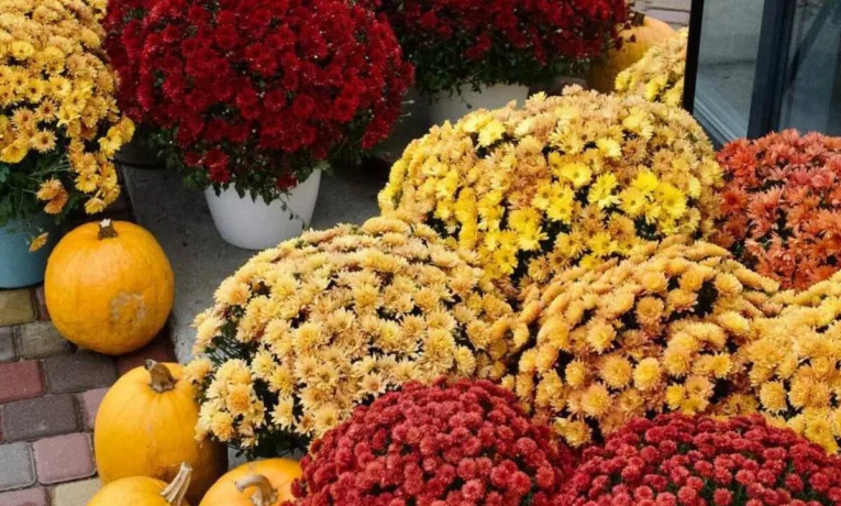 Де у Дніпрі зробити атмосферні осінні фото: нова локація