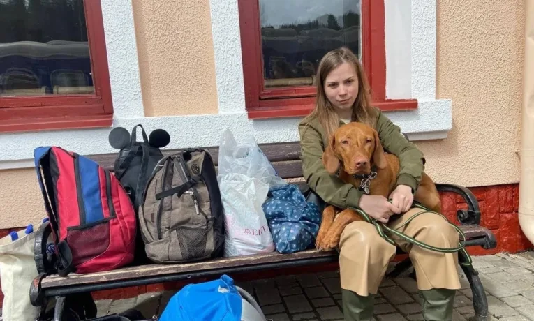 Оренда житла з тваринами у Дніпрі: чому відмовляють