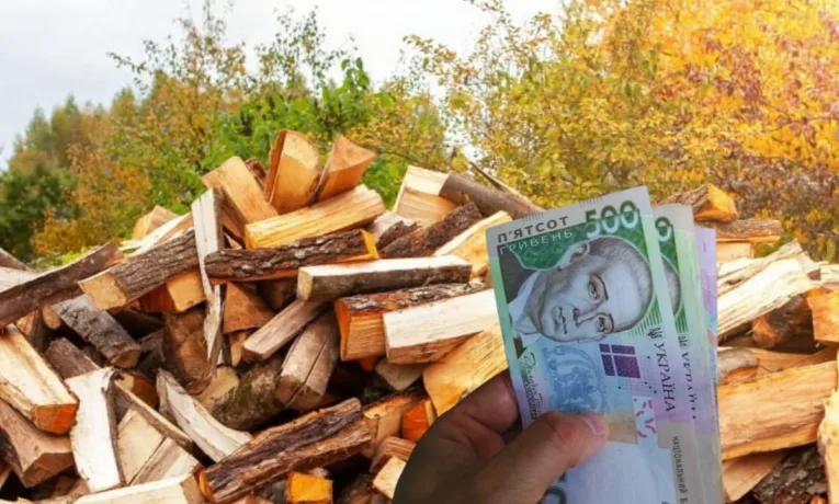 Субсидія на дрова: як отримати до 9200 грн від держави