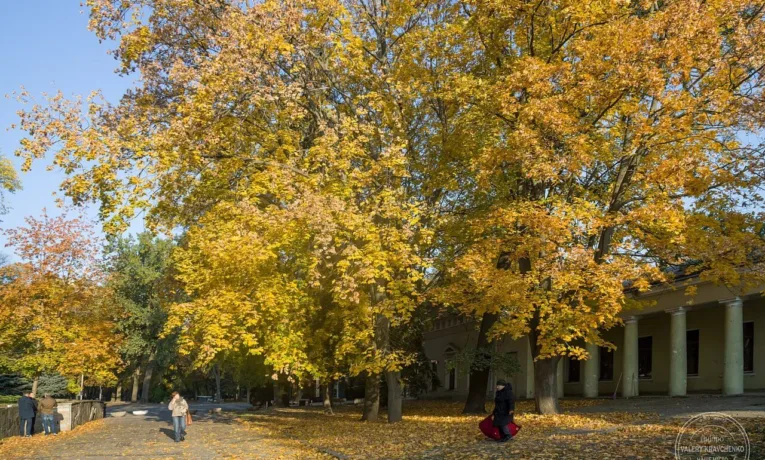 Ситуація у Дніпрі на ранок 2 жовтня: підсумки ночі