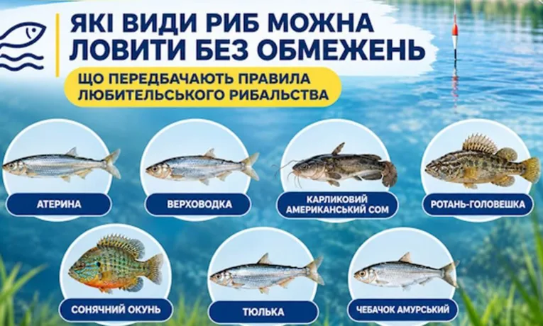 Яку рибу на Дніпропетровщині можна ловити без лімітів